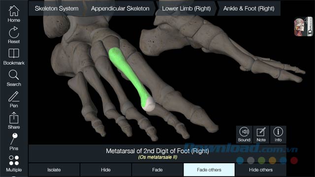 Essential Skeleton 4 cho iOS - ảnh 3 